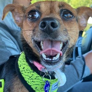 Meet your Posher, Eva